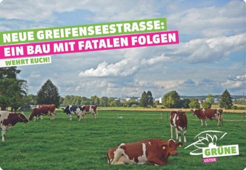 Neue Greifenseestrasse: Ein Bau mit fatalen Folgen