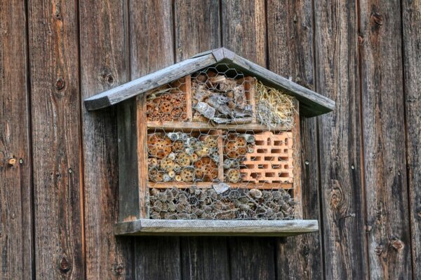 Foto: Eine Nisthilfe für Wildbienen (planet_fox, pixabay, Pixabay License)