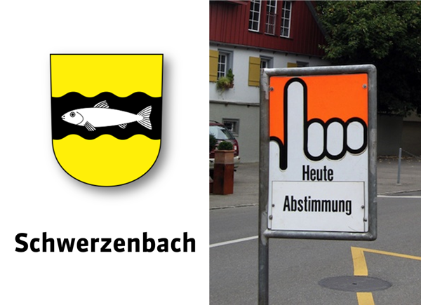 Bild: Abstimmung in Schwerzenbach (BernieCB, flickr, CC BY-ND 2.0)