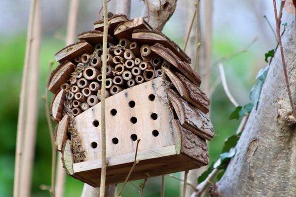 Foto: Nisthilfe für Wildbienen (Nennieinszweidrei, pixabay)