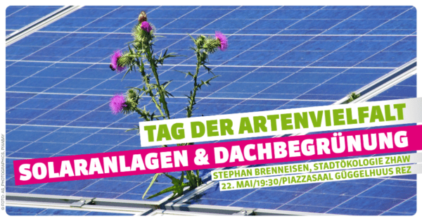 Tag der Artenvielfalt 2025: Solaranlagen und Dachbegrünung (Foto: AS_PHOTOGRAPHICS, pixabay)