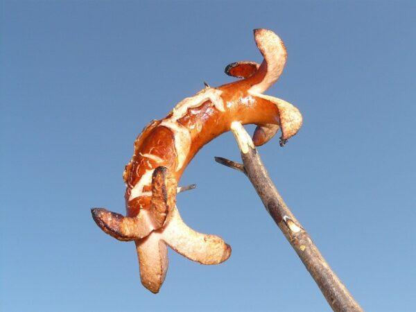 Foto: Eine Bratwurst wird gegrillt (Hans, Pixabay)