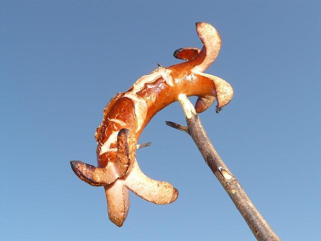 Foto: Eine Bratwurst wird gegrillt (Hans, Pixabay)