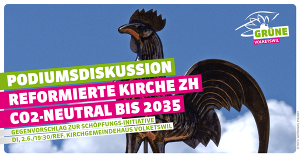 Podiumsdiskussion zum Gegenvorschlag zur Schöpfungs-Initiative (Antranas, pixabay)